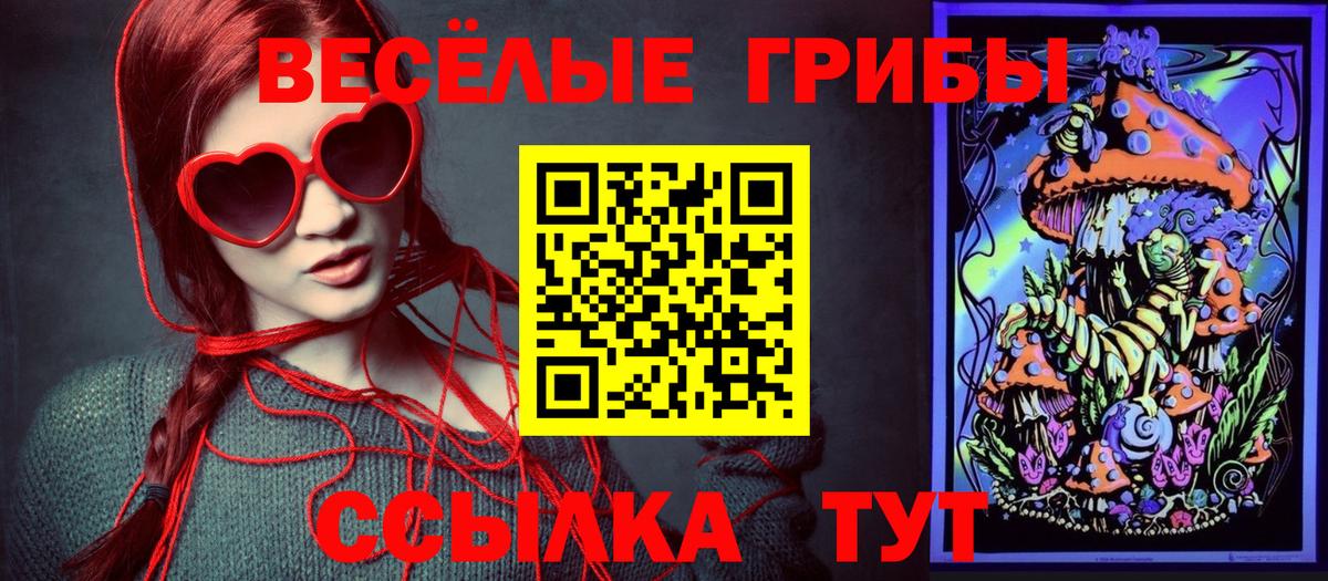 Заволжье  Псилоцибиновые грибы Psilocybe  купить наркоту  Вход с VPN 
