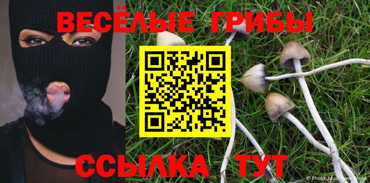 Псилоцибиновые грибы Magic Shrooms Заволжье
